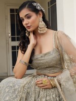 Ivory Butterfly Net Lehenga Choli